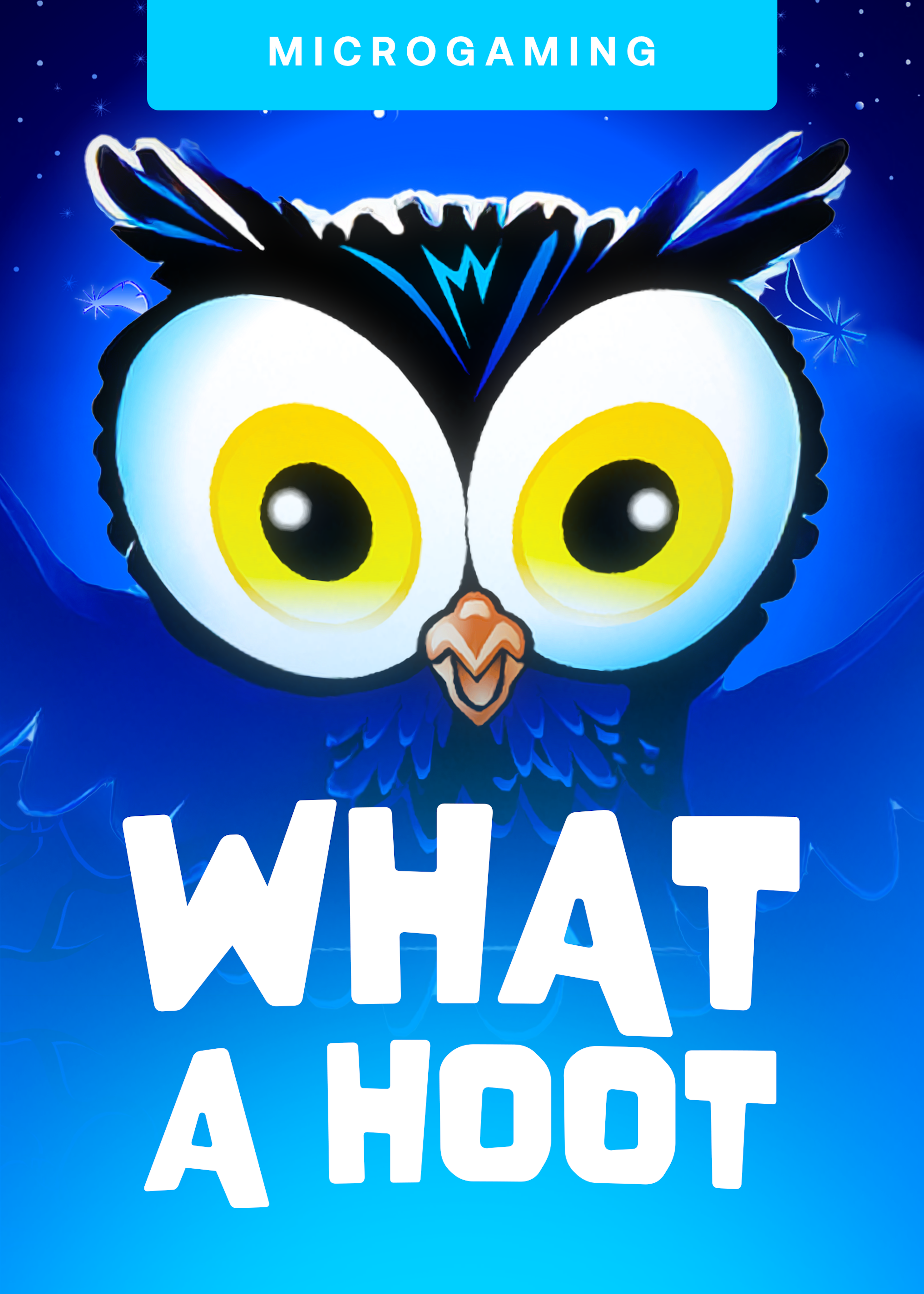 What A Hoot